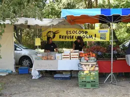 195-dscn0244.webp