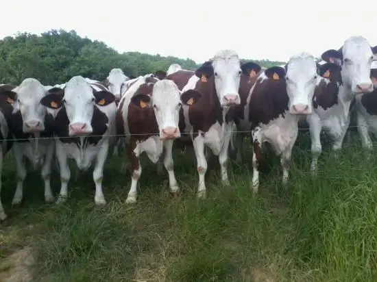 GAEC La ferme de Briola