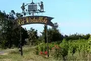 Domaine La Ventaillole - Elsa Cubières