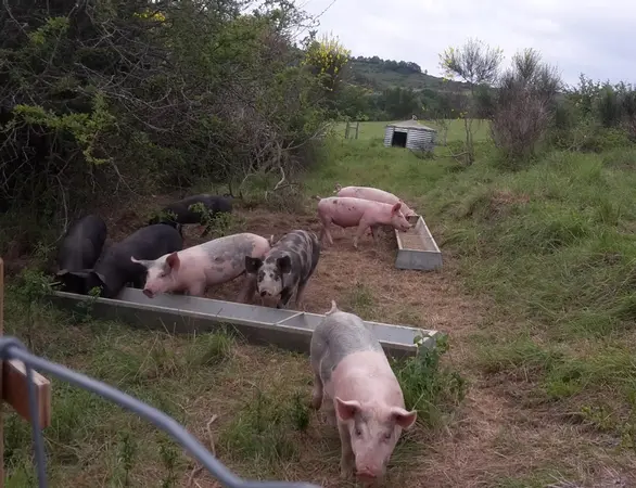 TEYSSANDIER Yvan - La ferme du Pouzet